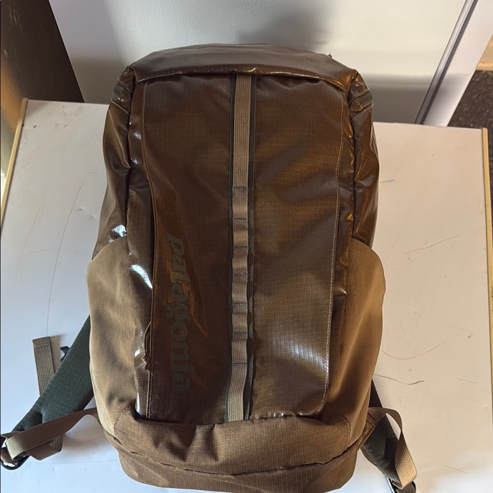 Patagonia Brown Backpack